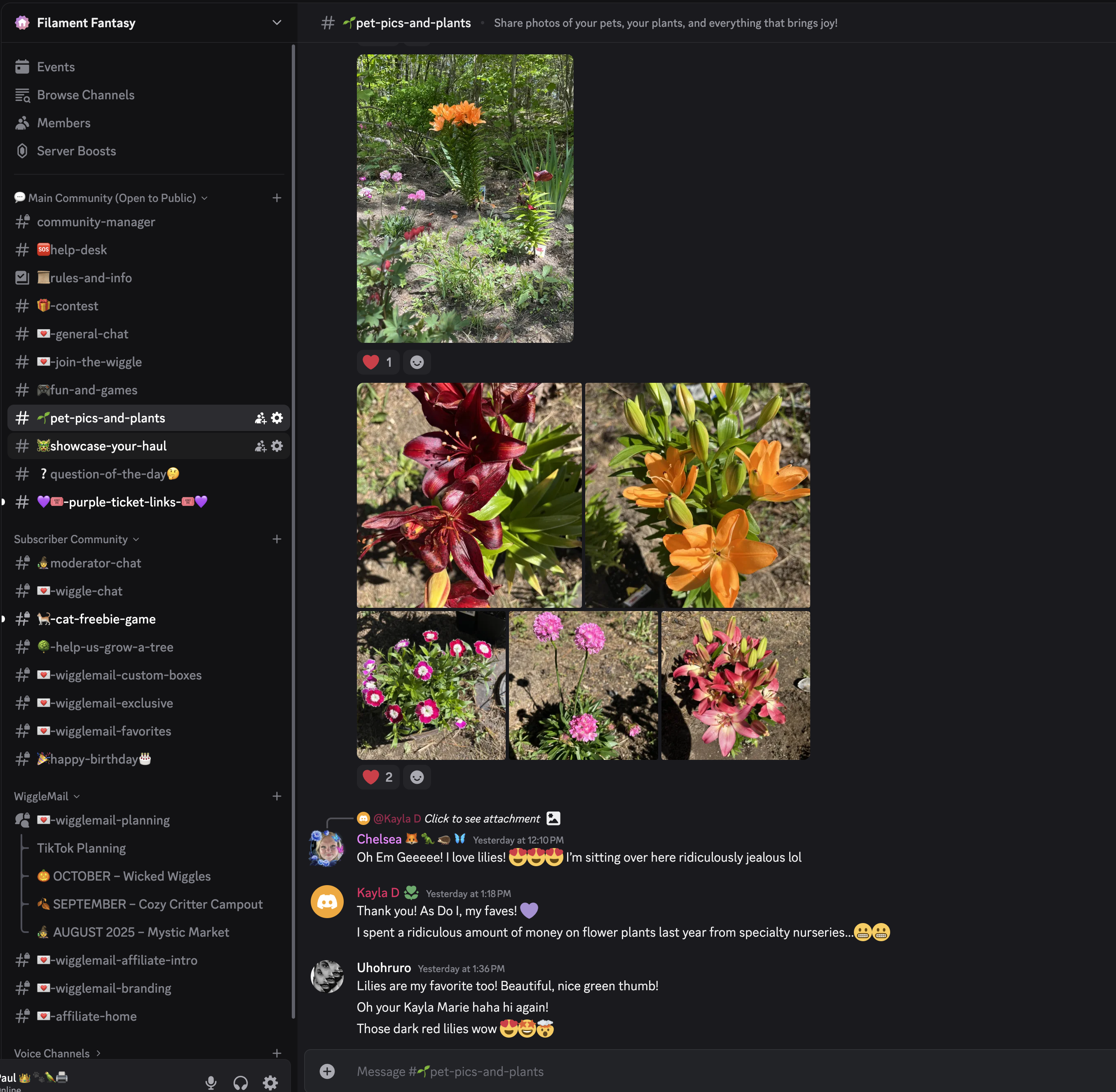 351-screenshot-2025-07-19-at-85859 pm-1752973667611.png